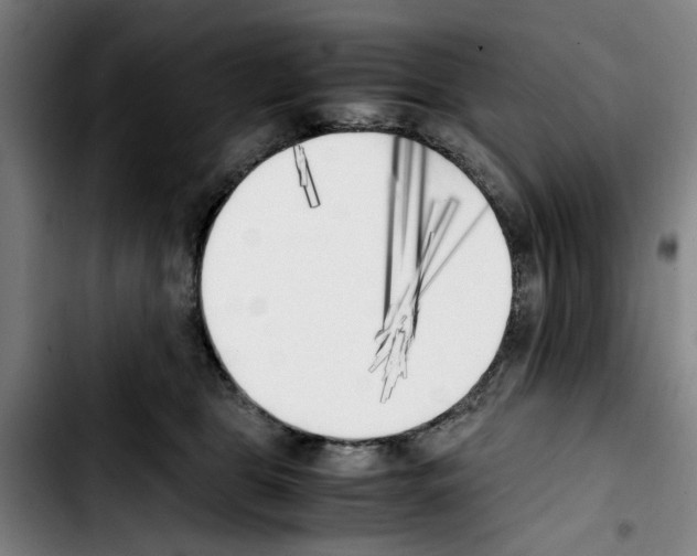 X0000103430469200810241103