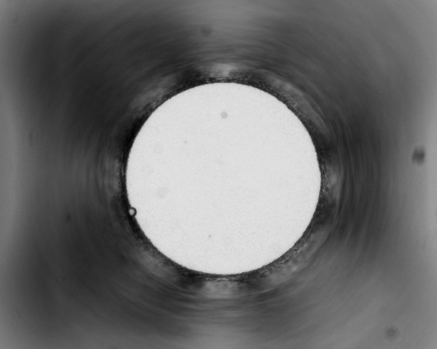 X0000103430470200810241103