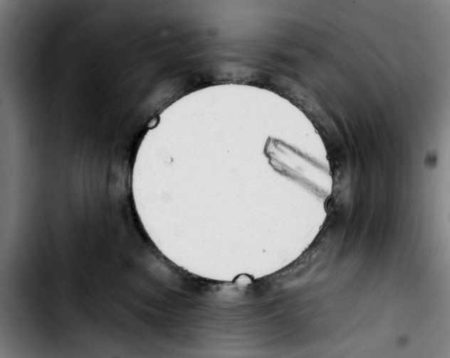 X0000103430474200810241103