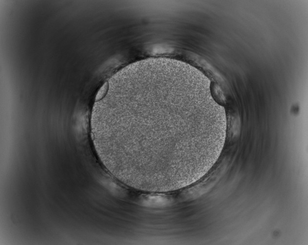 X0000103430475200810241103