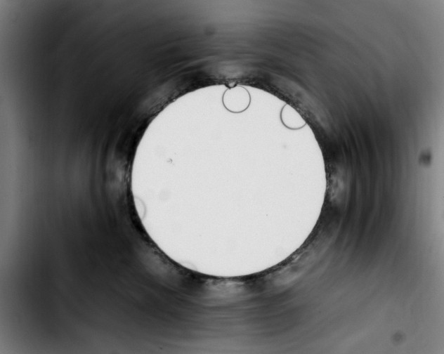X0000103430476200810241103