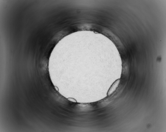 X0000103430477200810241103