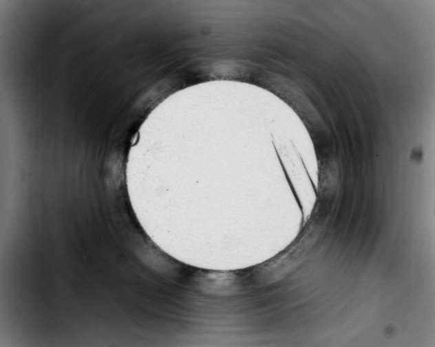 X0000103430478200810241103