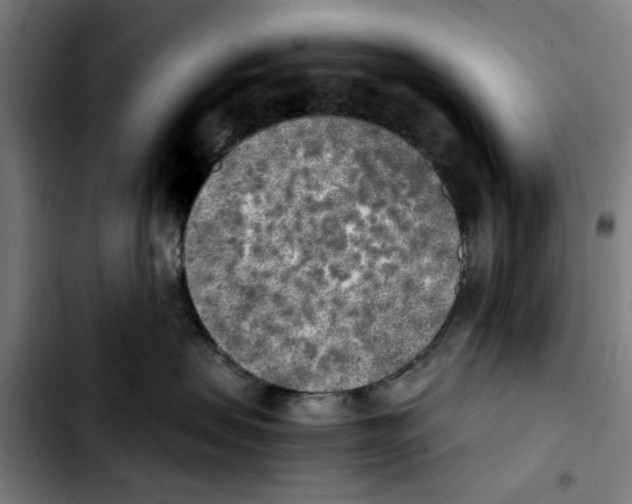 X0000103430479200810241103
