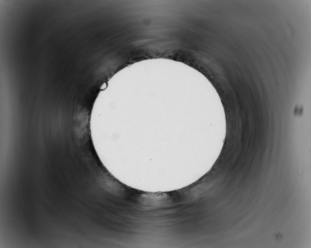 X0000103430480200810241103
