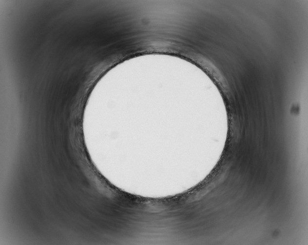 X0000103430481200810241102