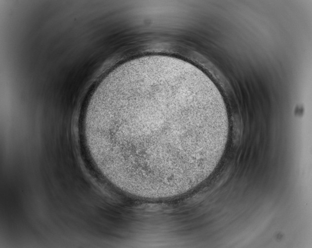X0000103430482200810241102