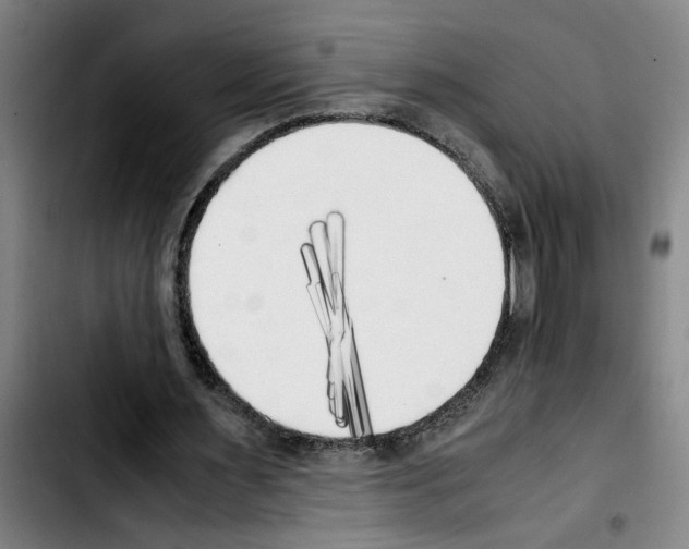 X0000103430483200810241102