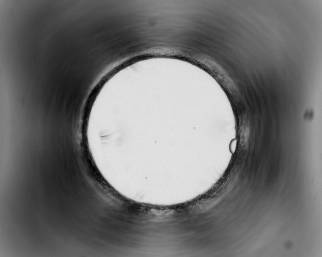 X0000103430484200810241102