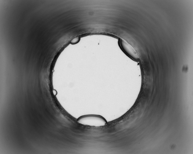 X0000103430485200810241102