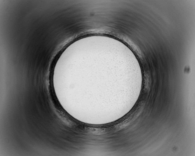 X0000103430486200810241102