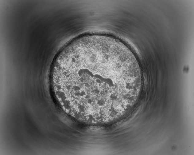 X0000103430487200810241102