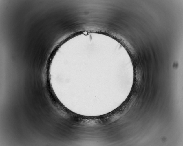 X0000103430488200810241102