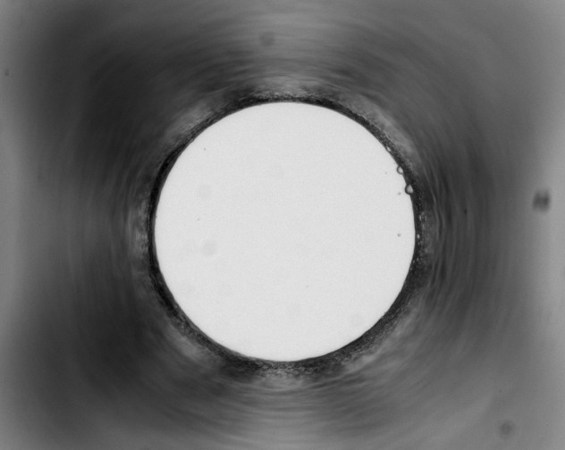 X0000103430489200810241102