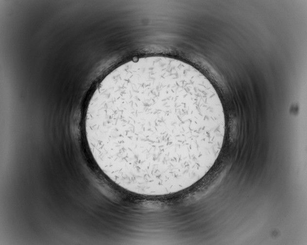 X0000103430490200810241102