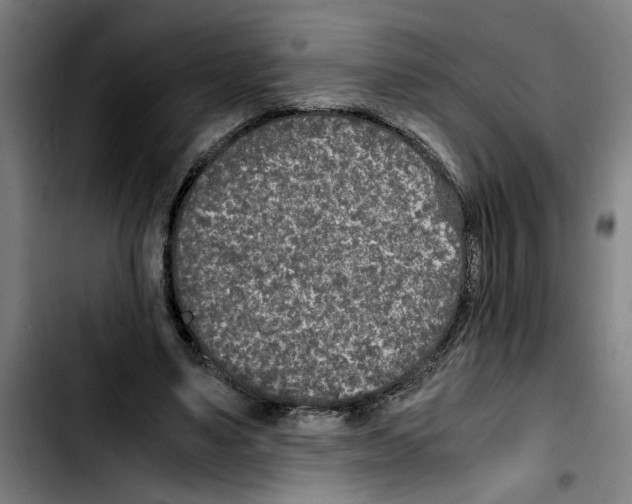 X0000103430491200810241102