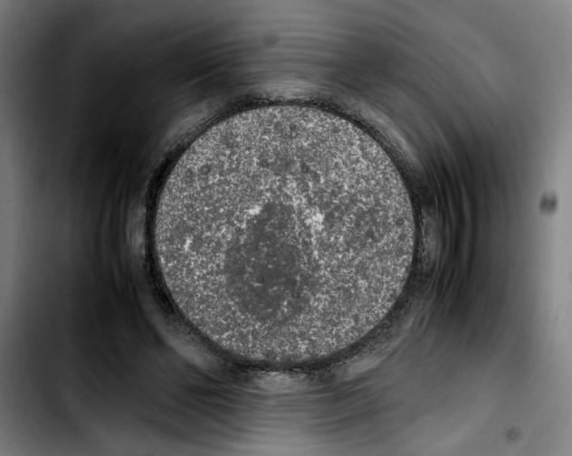 X0000103430494200810241102