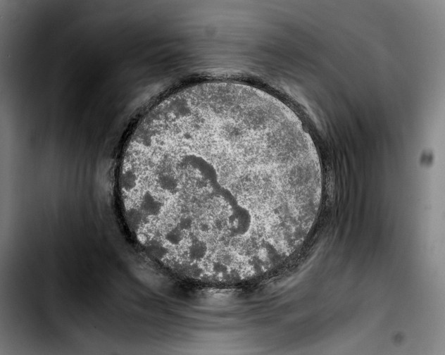 X0000103430495200810241102