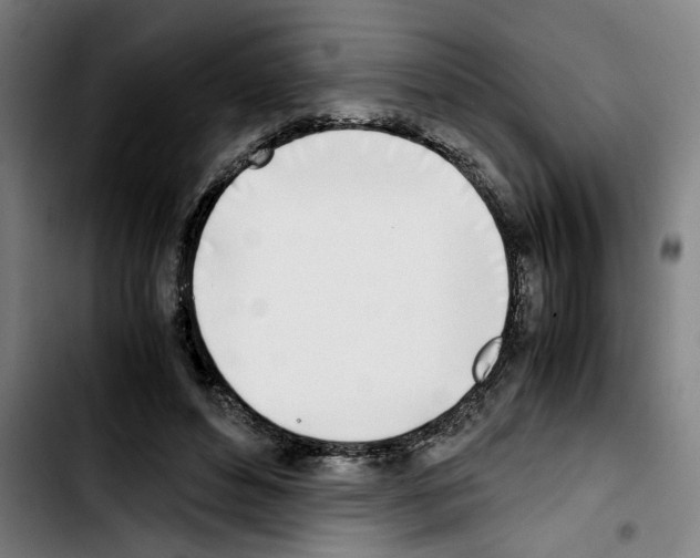 X0000103430496200810241102