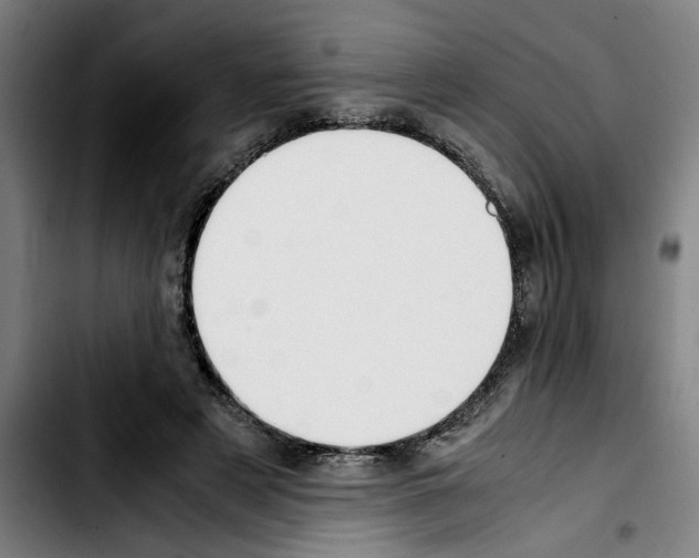 X0000103430497200810241102