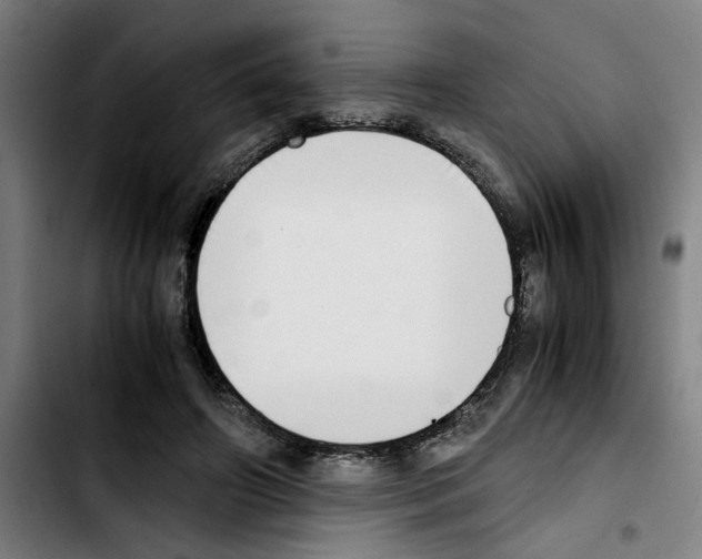 X0000103430498200810241102