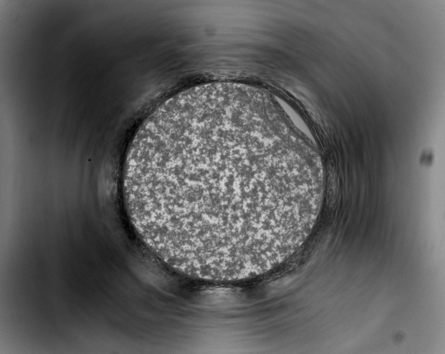 X0000103430499200810241102
