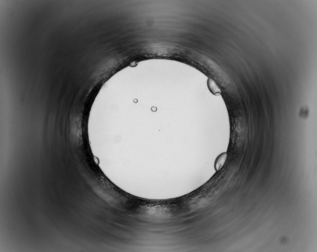 X0000103430500200810241102