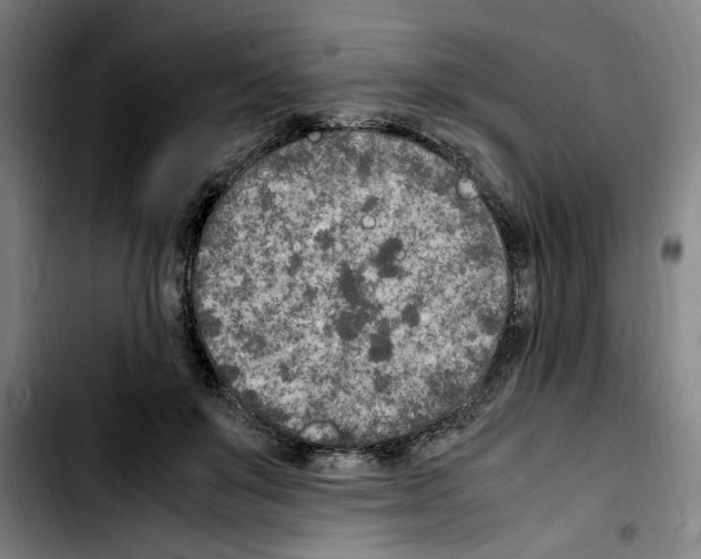 X0000103430503200810241102