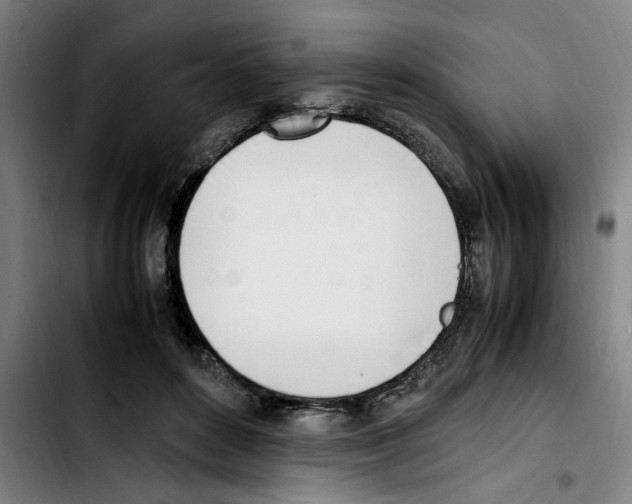 X0000103430504200810241102