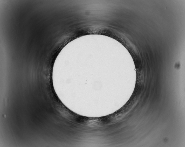 X0000103430505200810241102