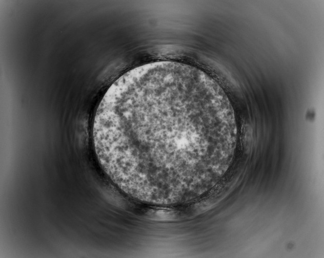 X0000103430506200810241102