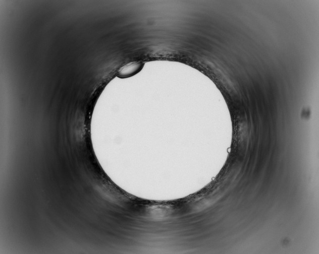 X0000103430508200810241102