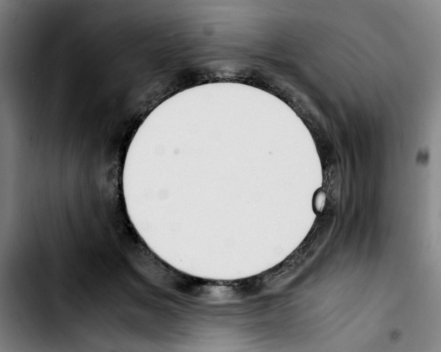 X0000103430509200810241102