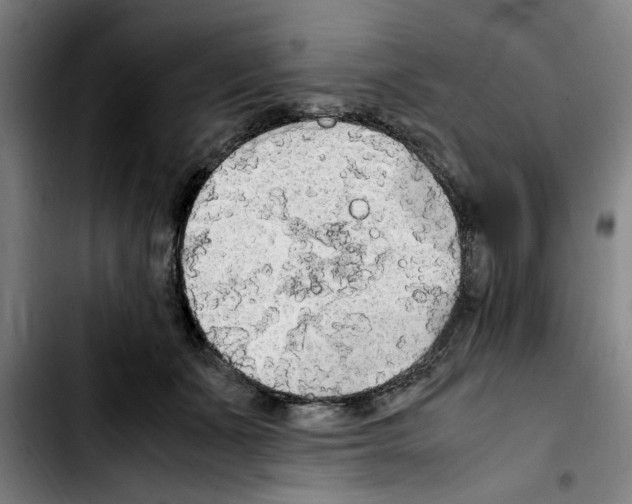 X0000103430511200810241102