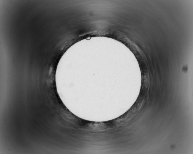 X0000103430517200810241101