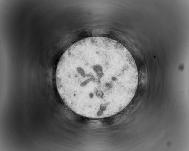 X0000103430519200810241101