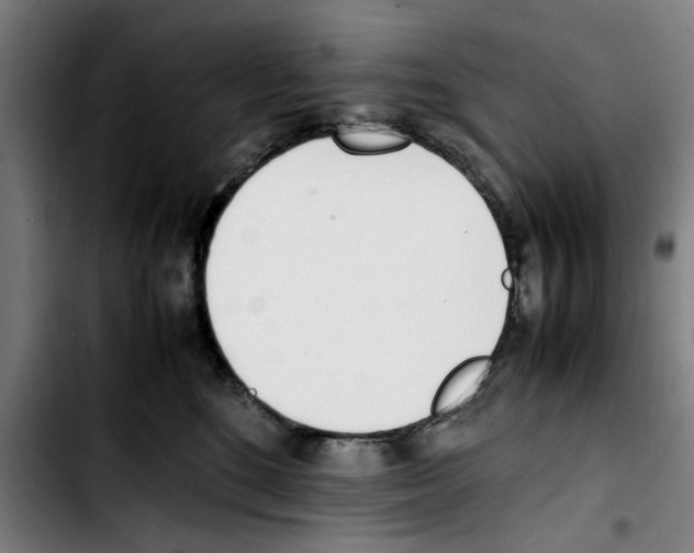 X0000103430520200810241101