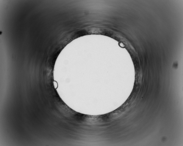 X0000103430521200810241101