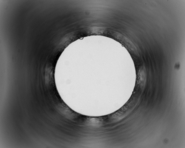 X0000103430522200810241101