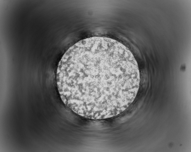 X0000103430523200810241101