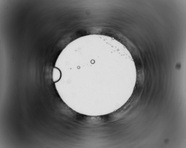 X0000103430525200810241101