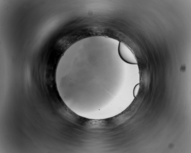 X0000103430526200810241101