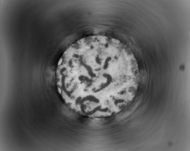 X0000103430527200810241101