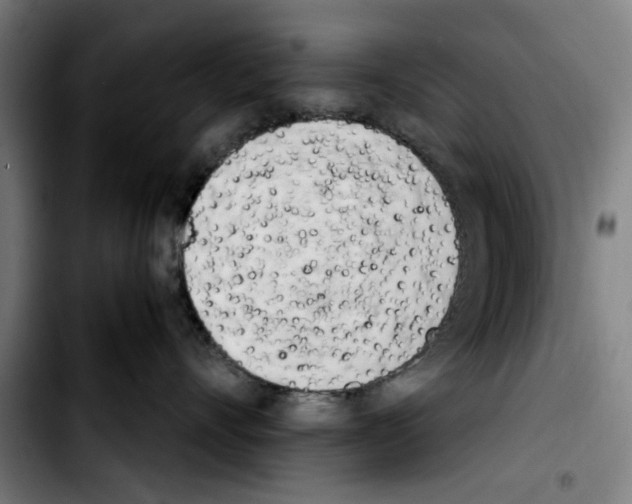 X0000103430528200810241101