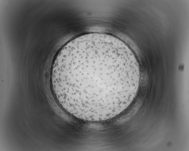 X0000103430529200810241100