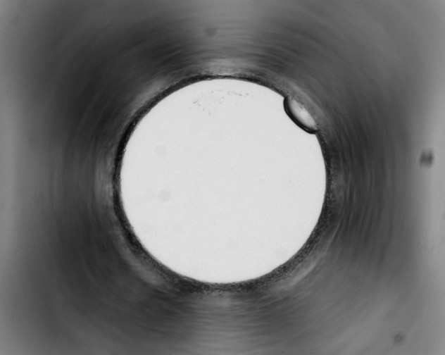 X0000103430530200810241100