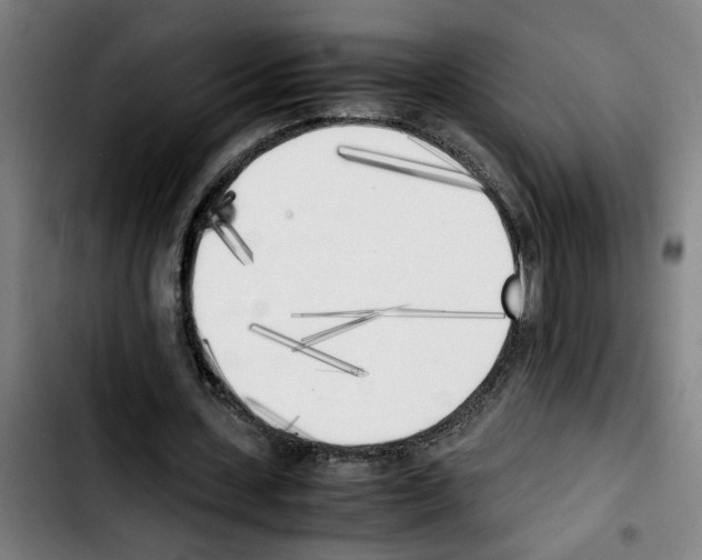 X0000103430531200810241100