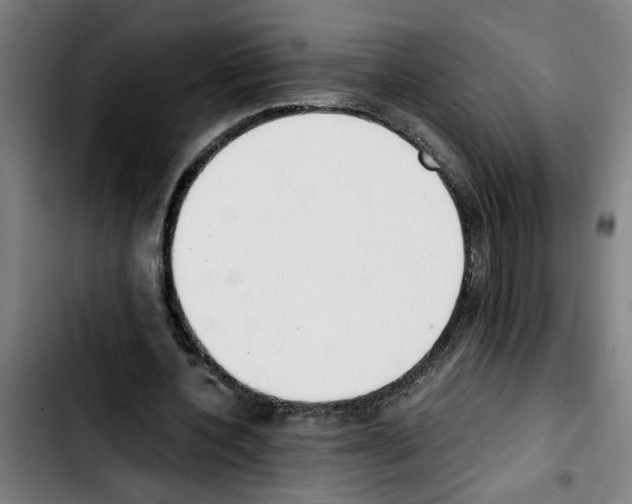 X0000103430532200810241100