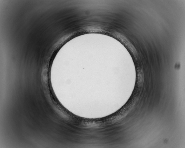 X0000103430533200810241100