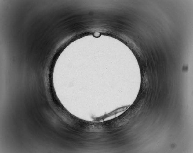 X0000103430535200810241100